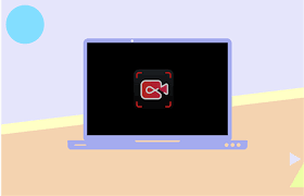 Best screen recorder for PC