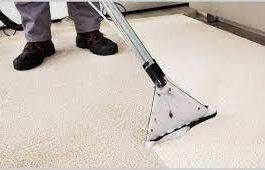 carpet-cleaning in Brooklyn