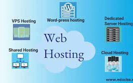 Web hosting provider for a website to store