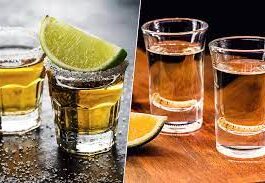 What's the Difference Between Tequila and Mezcal?