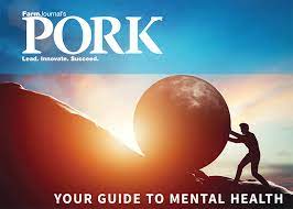 How Long Will You Carry Those Rocks? A Guide to Mental Health