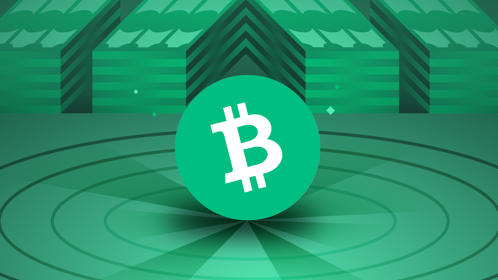 A Comprehensive Guide on How to Buy Bitcoin Cash Safely and Securely