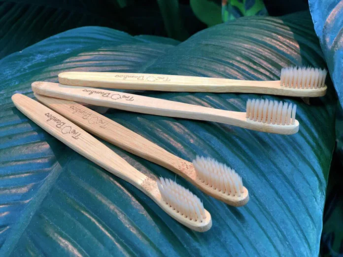 Reasons to Consider Bamboo Toothbrushes
